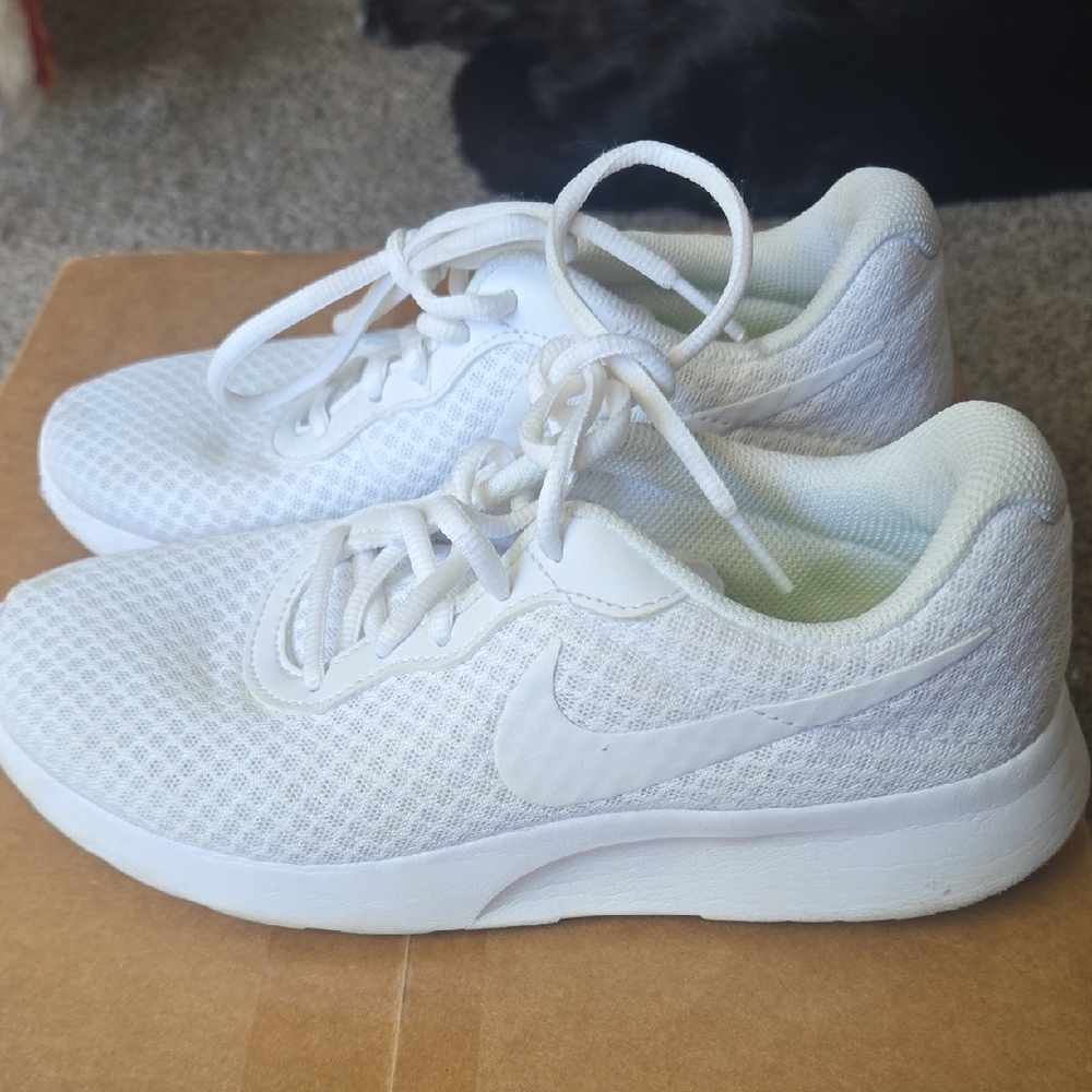 Nike White Mesh Sneakers